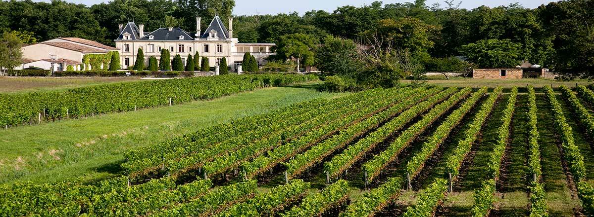 Château Meyre - Les Collectionneurs Avensan Exterior foto